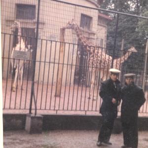 tunisi cigno 1971_2.jpg